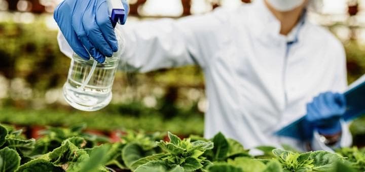Bitkilerde Salisilik Asit Ve Organik Asit İşlemesi