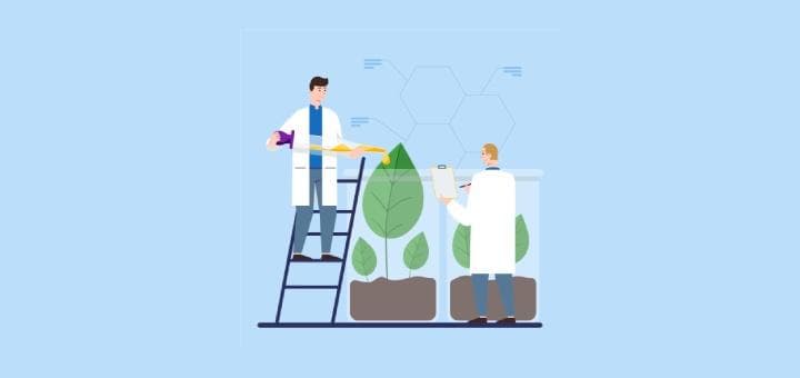 Glikolik Asit İçeren Tarımsal Bileşim