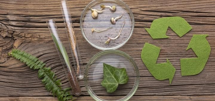 Bitkiler İçin Elementlerin Önemi