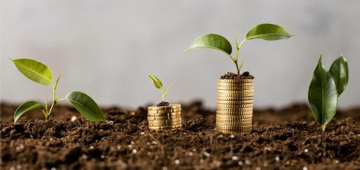 Laktik Asit Üretimi Ve Tarımsal Ekonomi