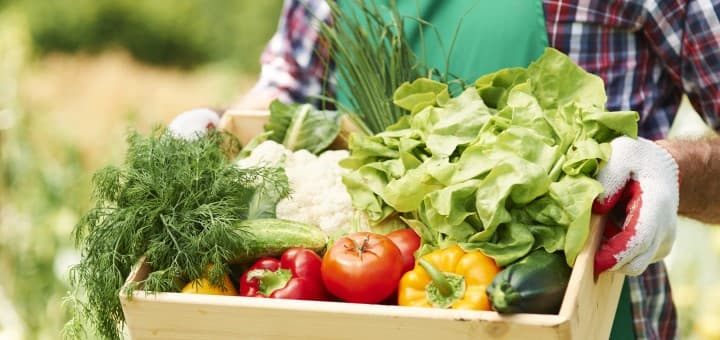 RENK BOZULMASINI ÖNLEYEN GIDA KORUYUCUSU