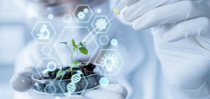 Tarımcılık Sektöründe Amonyum Molibdat Kullanımı