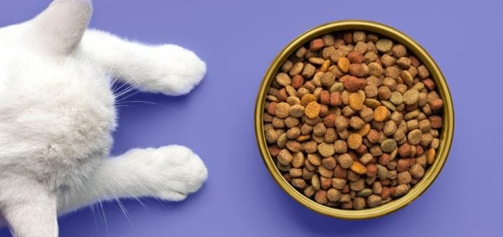 Hayvanlar için Kuru Mama Üretimi